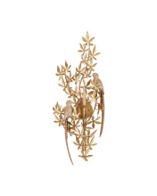 Images Shw5000-0282_4.jpg